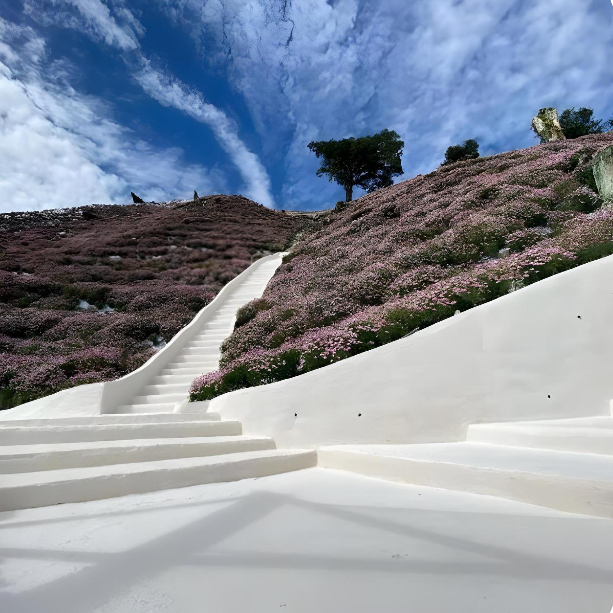 Apartment Serene Zen Family Retreat 2 To 7pax&sunrise View Brinchang